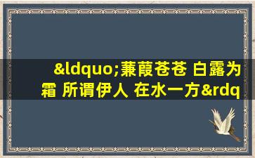 “蒹葭苍苍 白露为霜 所谓伊人 在水一方”